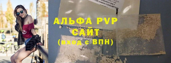 прущие грибы Козельск