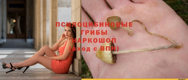 ГАЛЛЮЦИНОГЕННЫЕ ГРИБЫ Кодинск