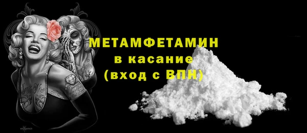 прущие грибы Козельск