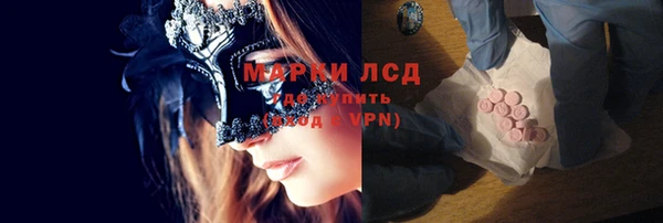 прущие грибы Козельск