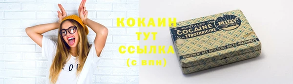 ГАЛЛЮЦИНОГЕННЫЕ ГРИБЫ Кодинск