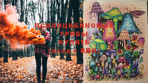 прущие грибы Козельск