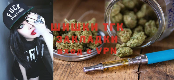 прущие грибы Козельск