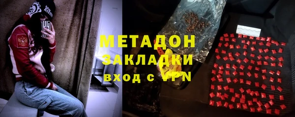 прущие грибы Козельск