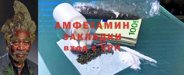 прущие грибы Козельск