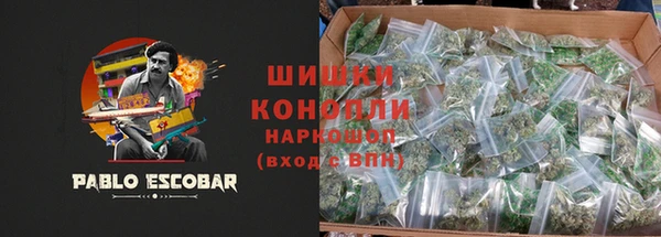 ГАЛЛЮЦИНОГЕННЫЕ ГРИБЫ Кодинск