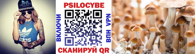 Галлюциногенные грибы мухоморы  Купить закладки  Кирово-Чепецк 